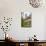 Cloister, San Francisco Church and Convent, Quito-Gabrielle and Michael Therin-Weise-Photographic Print displayed on a wall