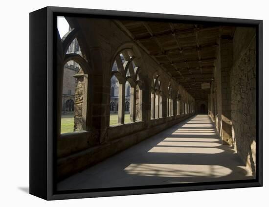 Cloisters, Durham Cathedral, Unesco World Heritage Site, Durham, County Durham, England-Ethel Davies-Framed Stretched Canvas