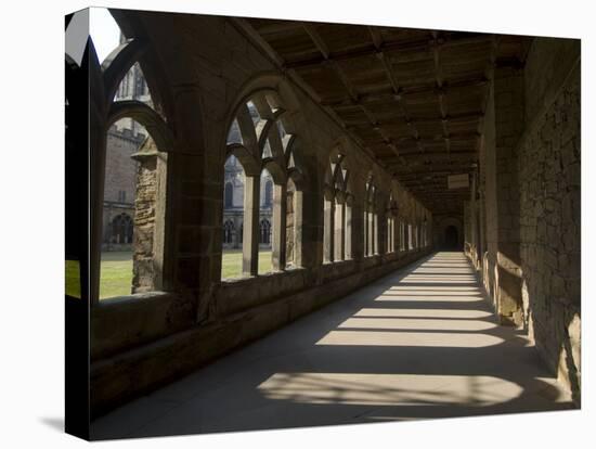 Cloisters, Durham Cathedral, Unesco World Heritage Site, Durham, County Durham, England-Ethel Davies-Stretched Canvas