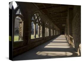 Cloisters, Durham Cathedral, Unesco World Heritage Site, Durham, County Durham, England-Ethel Davies-Stretched Canvas