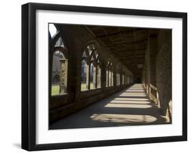 Cloisters, Durham Cathedral, Unesco World Heritage Site, Durham, County Durham, England-Ethel Davies-Framed Photographic Print