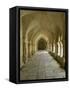 Cloisters, Fontenay Abbey, UNESCO World Heritage Site, Burgundy, France, Europe-Rolf Richardson-Framed Stretched Canvas