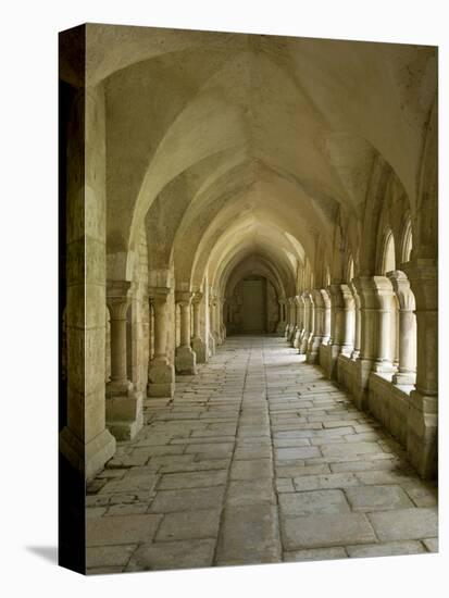 Cloisters, Fontenay Abbey, UNESCO World Heritage Site, Burgundy, France, Europe-Rolf Richardson-Stretched Canvas