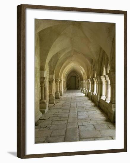 Cloisters, Fontenay Abbey, UNESCO World Heritage Site, Burgundy, France, Europe-Rolf Richardson-Framed Photographic Print