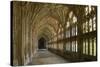 Cloisters, Gloucester Cathedral, Gloucestershire-Peter Thompson-Stretched Canvas