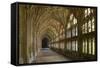 Cloisters, Gloucester Cathedral, Gloucestershire-Peter Thompson-Framed Stretched Canvas