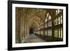 Cloisters, Gloucester Cathedral, Gloucestershire-Peter Thompson-Framed Photographic Print