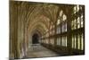 Cloisters, Gloucester Cathedral, Gloucestershire-Peter Thompson-Mounted Photographic Print