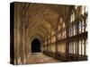 Cloisters of Gloucester Cathedral, Late 14th Century-Peter Thompson-Stretched Canvas