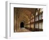 Cloisters of Gloucester Cathedral, Late 14th Century-Peter Thompson-Framed Photographic Print