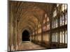 Cloisters of Gloucester Cathedral, Late 14th Century-Peter Thompson-Mounted Photographic Print