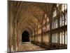 Cloisters of Gloucester Cathedral, Late 14th Century-Peter Thompson-Mounted Photographic Print