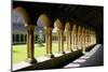 Cloisters of Iona Abbey, Argyll and Bute, Scotland-Peter Thompson-Mounted Photographic Print