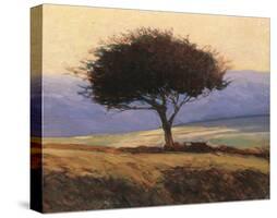 Cloondaff-Kent Lovelace-Stretched Canvas