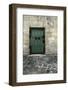 Cloony Green-Tracey Telik-Framed Photographic Print