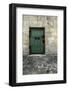 Cloony Green-Tracey Telik-Framed Photographic Print