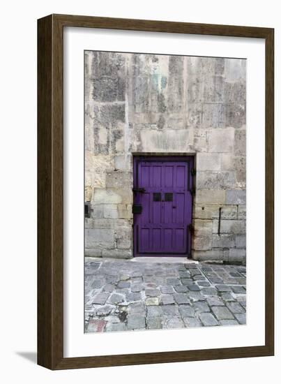 Cloony Purple 2-Tracey Telik-Framed Photographic Print