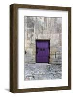 Cloony Purple 2-Tracey Telik-Framed Photographic Print