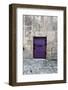 Cloony Purple 2-Tracey Telik-Framed Photographic Print