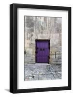 Cloony Purple 2-Tracey Telik-Framed Photographic Print