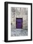 Cloony Purple 2-Tracey Telik-Framed Photographic Print