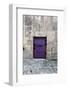 Cloony Purple 2-Tracey Telik-Framed Photographic Print