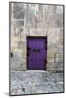 Cloony Purple 2-Tracey Telik-Mounted Photographic Print