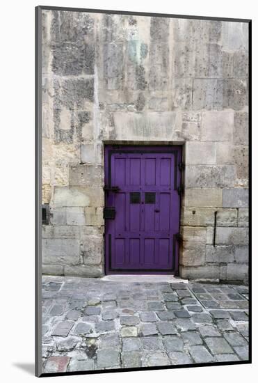 Cloony Purple 2-Tracey Telik-Mounted Photographic Print