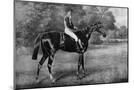 Wood Mount