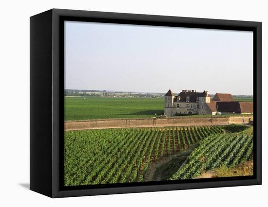 Clos De Vougeot, 16th Century Monastery and Vineyard, Les Petits Vougeots Vineyard-Per Karlsson-Framed Stretched Canvas