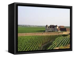 Clos De Vougeot, 16th Century Monastery and Vineyard, Les Petits Vougeots Vineyard-Per Karlsson-Framed Stretched Canvas