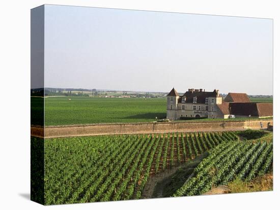 Clos De Vougeot, 16th Century Monastery and Vineyard, Les Petits Vougeots Vineyard-Per Karlsson-Stretched Canvas