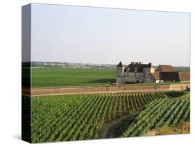 Clos De Vougeot, 16th Century Monastery and Vineyard, Les Petits Vougeots Vineyard-Per Karlsson-Stretched Canvas