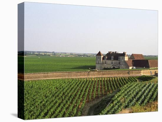 Clos De Vougeot, 16th Century Monastery and Vineyard, Les Petits Vougeots Vineyard-Per Karlsson-Stretched Canvas