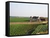 Clos De Vougeot, 16th Century Monastery and Vineyard, Les Petits Vougeots Vineyard-Per Karlsson-Framed Stretched Canvas