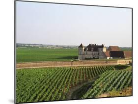 Clos De Vougeot, 16th Century Monastery and Vineyard, Les Petits Vougeots Vineyard-Per Karlsson-Mounted Photographic Print