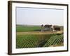 Clos De Vougeot, 16th Century Monastery and Vineyard, Les Petits Vougeots Vineyard-Per Karlsson-Framed Photographic Print