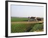 Clos De Vougeot, 16th Century Monastery and Vineyard, Les Petits Vougeots Vineyard-Per Karlsson-Framed Photographic Print