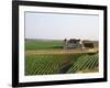 Clos De Vougeot, 16th Century Monastery and Vineyard, Les Petits Vougeots Vineyard-Per Karlsson-Framed Photographic Print