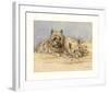 Close Companions-Mac-Framed Premium Giclee Print