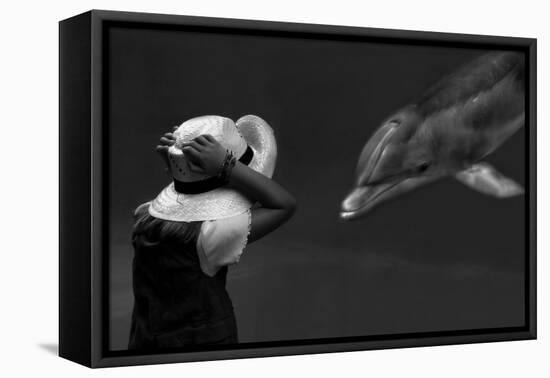 Close Encounter ...-Yvette Depaepe-Framed Stretched Canvas