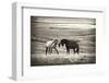 Close Encounter-Vedran Vidak-Framed Photographic Print