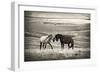 Close Encounter-Vedran Vidak-Framed Photographic Print