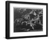 Close In View Down Toward Peak Formations "Grand Canyon National Park" Arizona. 1933-1942-Ansel Adams-Framed Art Print