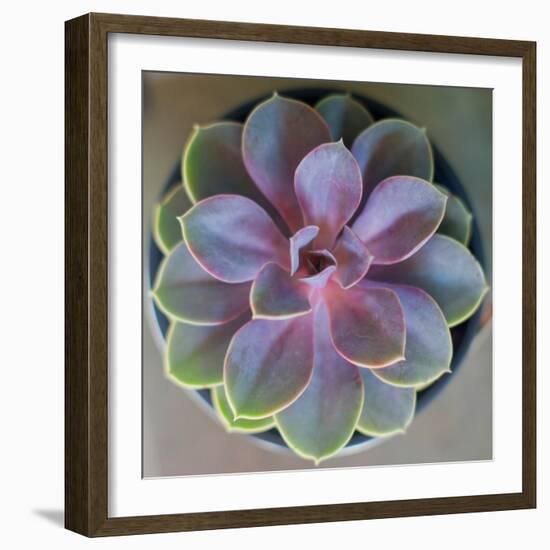 Close to Nature-Susan Bryant-Framed Photographic Print