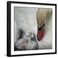 Close To You-Piet Flour-Framed Giclee Print