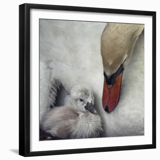 Close To You-Piet Flour-Framed Giclee Print