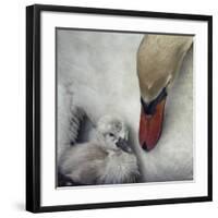 Close To You-Piet Flour-Framed Giclee Print