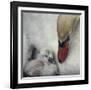 Close To You-Piet Flour-Framed Giclee Print