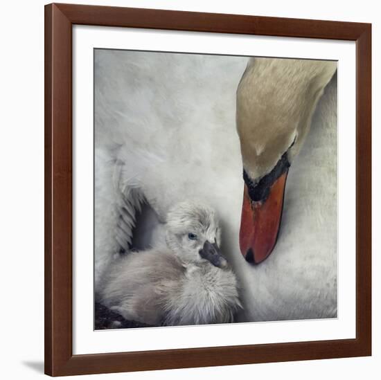 Close To You-Piet Flour-Framed Giclee Print